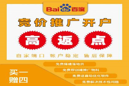 百度广告竞价案例：精准投放，实现广告效果最大化